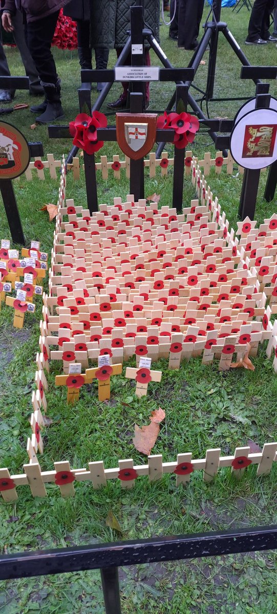 Our Commodore represents the ADLS at the opening of the Field of Remembrance, Westminster, this morning. The ADLS plot sits next to the Dunkirk Veterans plot.