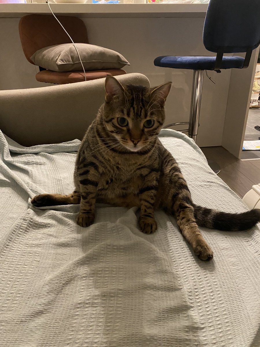 spagatnar acınsın gemcner ve gemc kanamnar