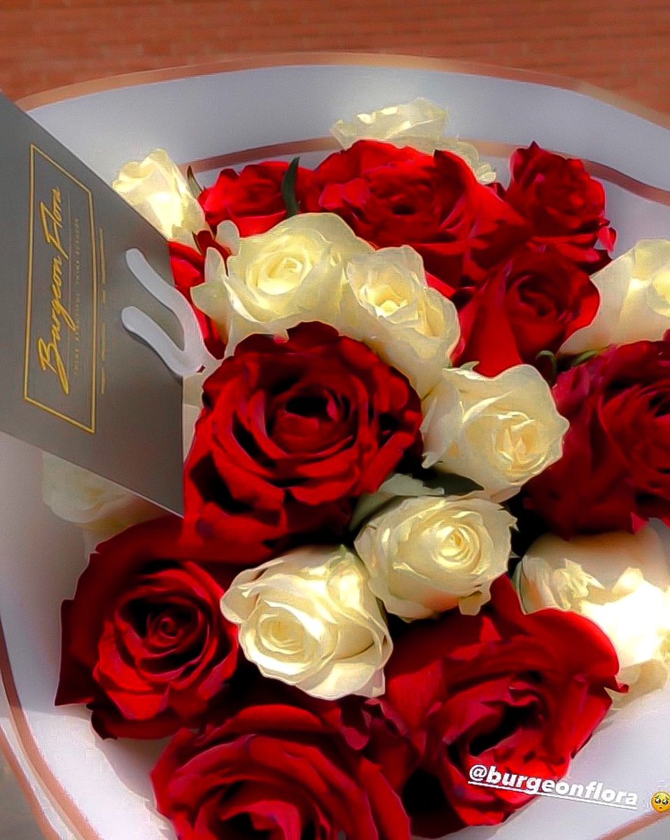 yuhhaasana's tweet image. F1 is my fav bc yeahhh 🥺🥺🥺🥺🥺