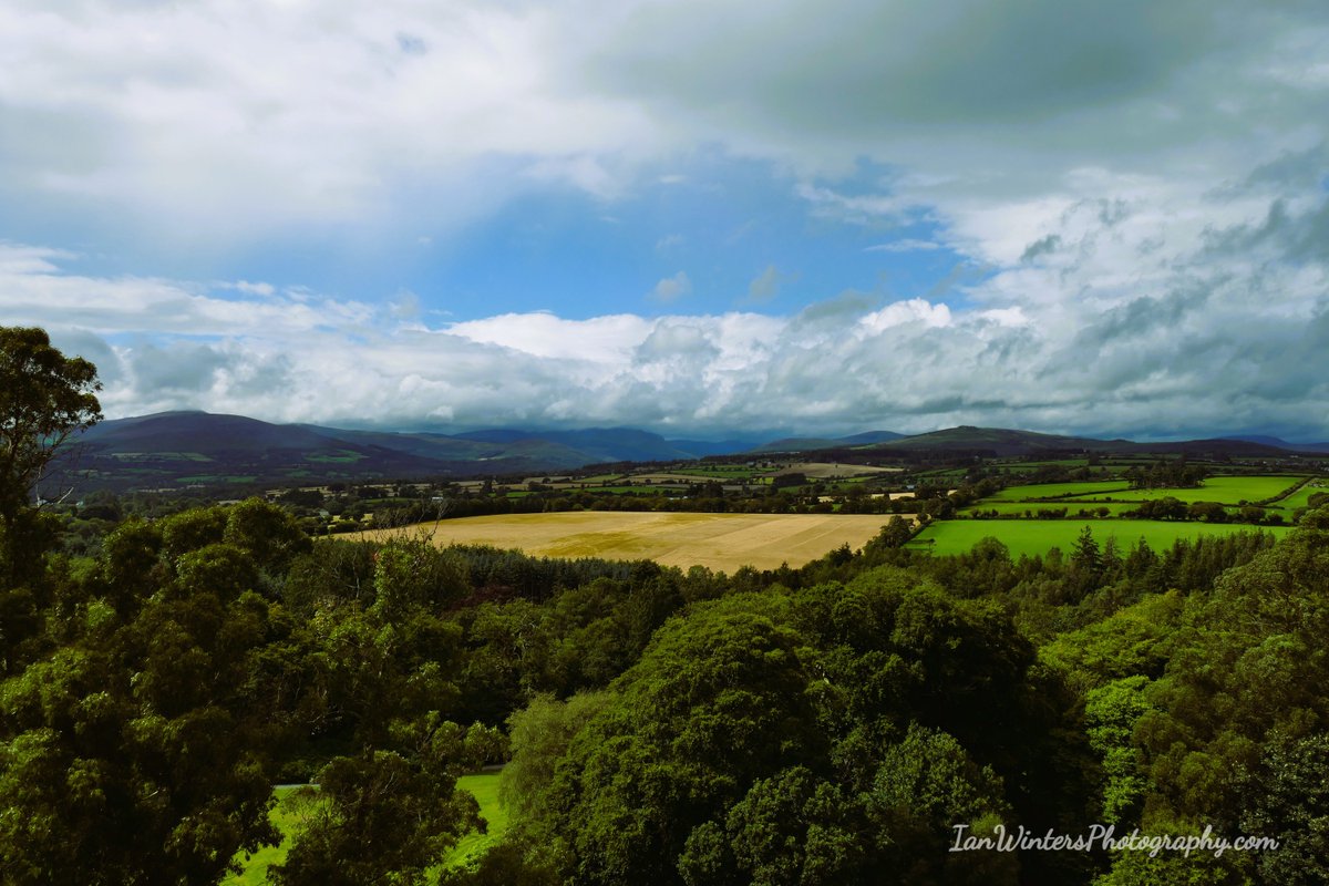 IanWintersPhoto's tweet photo. Few pictures from a while back taken during a visit to Beyond the Trees at Avondale House, Rathdrum, Co Wicklow. #wicklow #landscapephotography #photooftheday #beyondthetreesavondale #beyondthetrees #gardenofireland #igphoto #photography #lumix https://t.co/LVG6vw1KSY