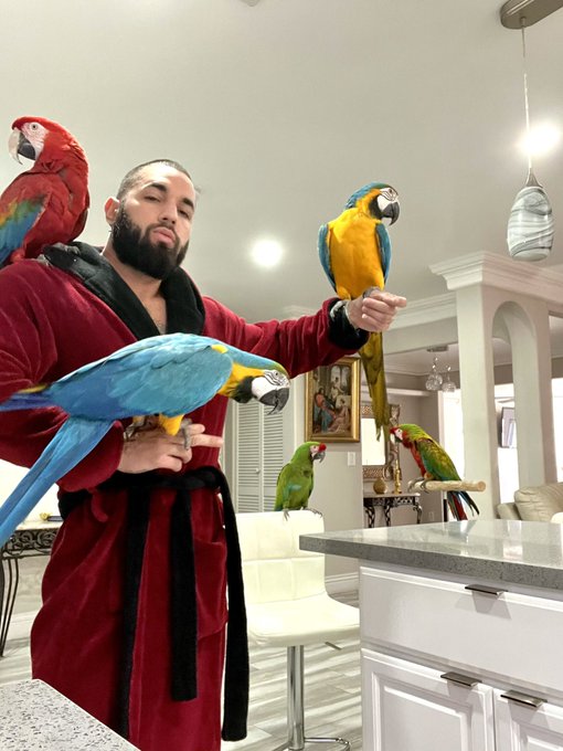 I can&rsquo;t stop getting birds 😭 https://t.co/Fo93M8CGhD<a href="/tag/weirdo"class="tags"><span>#weirdo</span></a>