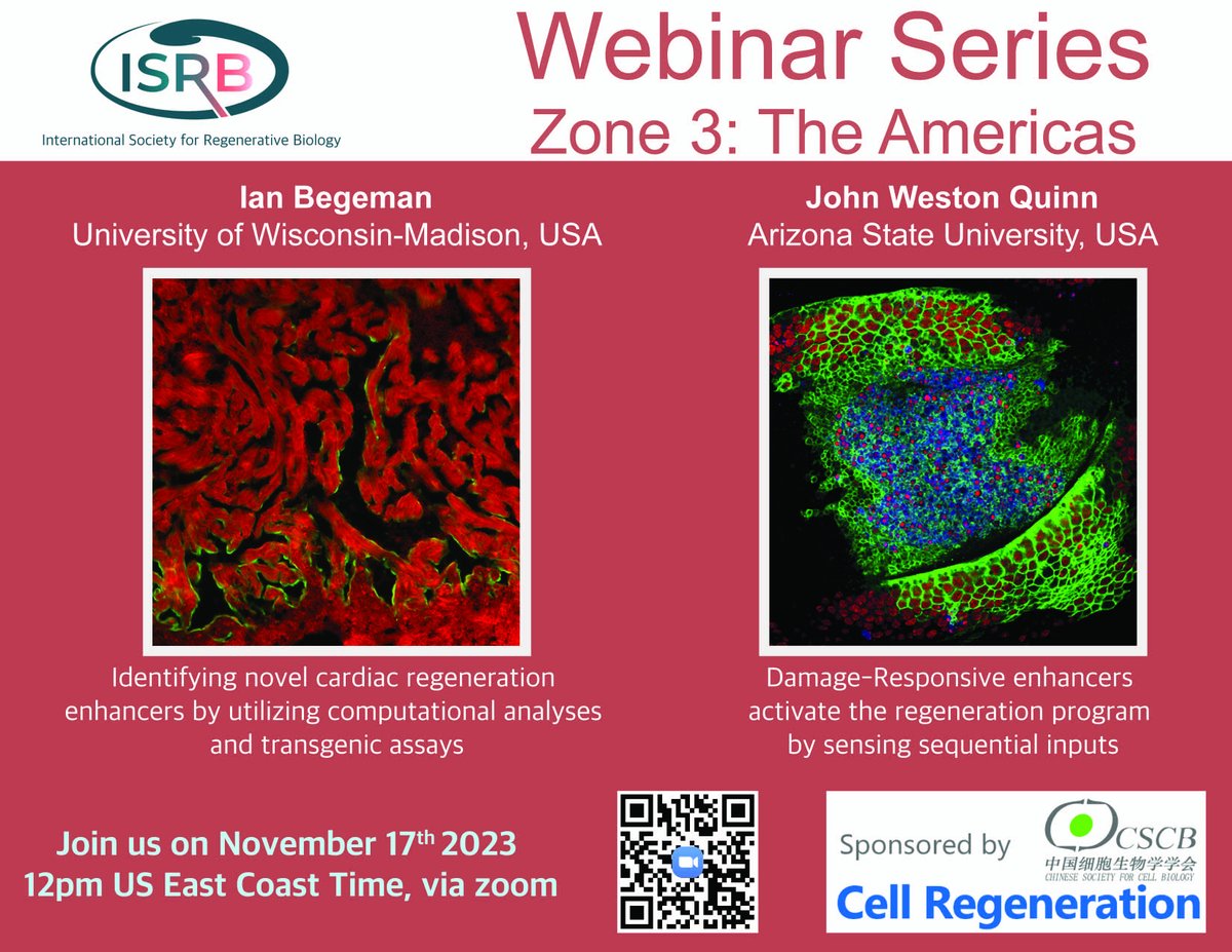 International Society for Regenerative Biology (@isrbio) on Twitter photo ๐จISRB Webinar November Zone 3, November 17th, 12pm US East Coast Time, featuring Ian Begeman from the Junsu Kang lab <a href="/JunsuKang2/">Junsu Kang</a> and John Weston Quinn from the Robin Harris Lab ๐จ #EnhancersInRegeneration ๐จISRB Webinar November Zone 3, November 17th, 12pm US East Coast Time, featuring Ian Begeman from the Junsu Kang lab <a href="/JunsuKang2/">Junsu Kang</a> and John Weston Quinn from the Robin Harris Lab ๐จ #EnhancersInRegeneration