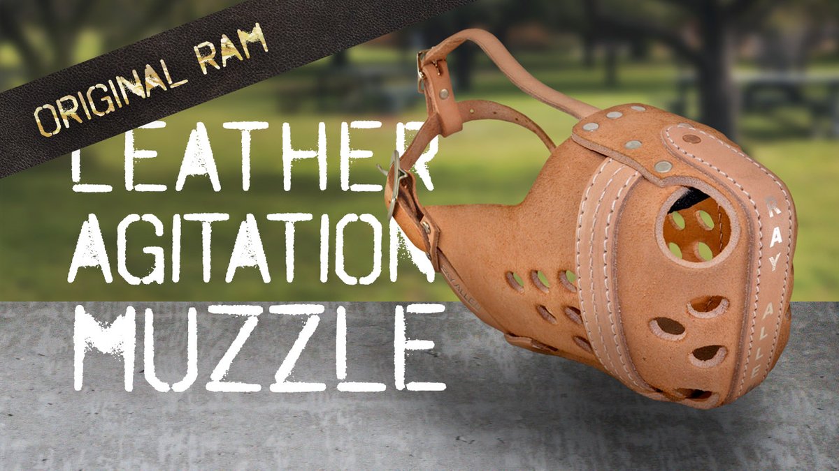 Shop Now: rayallen.com/ram-leather-ag…

The Original RAM Leather Agitation Muzzle is the pinnacle of the working dog world. For police K9, military working dogs, and personal protection dogs, you won't find anything better. 

Read More: rayallen.com/blog/the-most-…