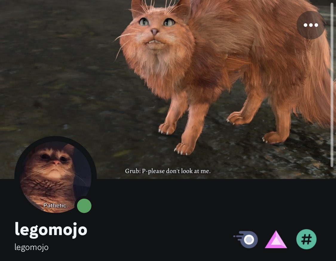 Hi @MARVELSNAP I was banned from your Discord for NSFW Prilogile banner?? Assuming that meant profile… here’s my profile banner? So I feel like, unless this cat is too NSFW… that must be a mistake but I can’t figure out how to rejoin?