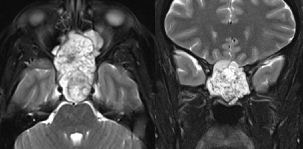 Daniel Gewolb, MD tweet media