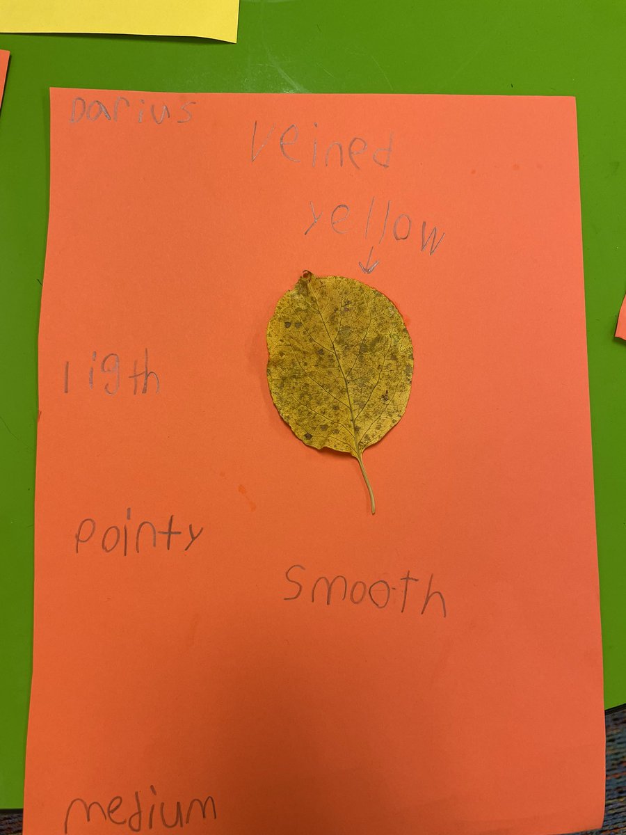 The kids learned yesterday what an adjective is and got to go outside and find a leaf to describe using adjectives.💚🍁🍂<a href="/LHECMES/">Lincoln HeightsECMES</a> #ROOTEDinSuccess #learnusingnature
