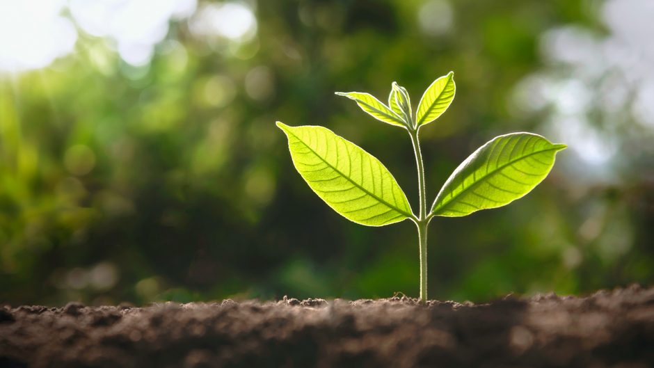 Are you living your best life? 
A new course offered spring 2024 on 'The Art and Science of Flourishing' will teach ways to integrate meaning into your life. Read what the course offers:
bit.ly/Art-of-Flouris…