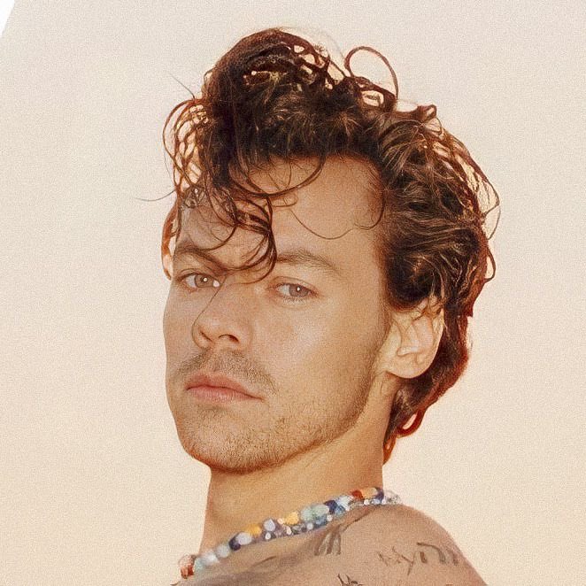 Harry Styles’ dreamy curls. 
Note: these no longer exist.