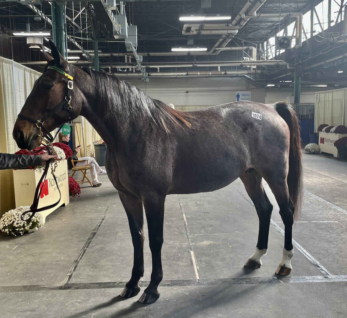 HrnssRcngJess's tweet image. Thursday is my favorite Harrisburg day but I barely got to see the mommas and babies go! 😩 #MaybeOneDay