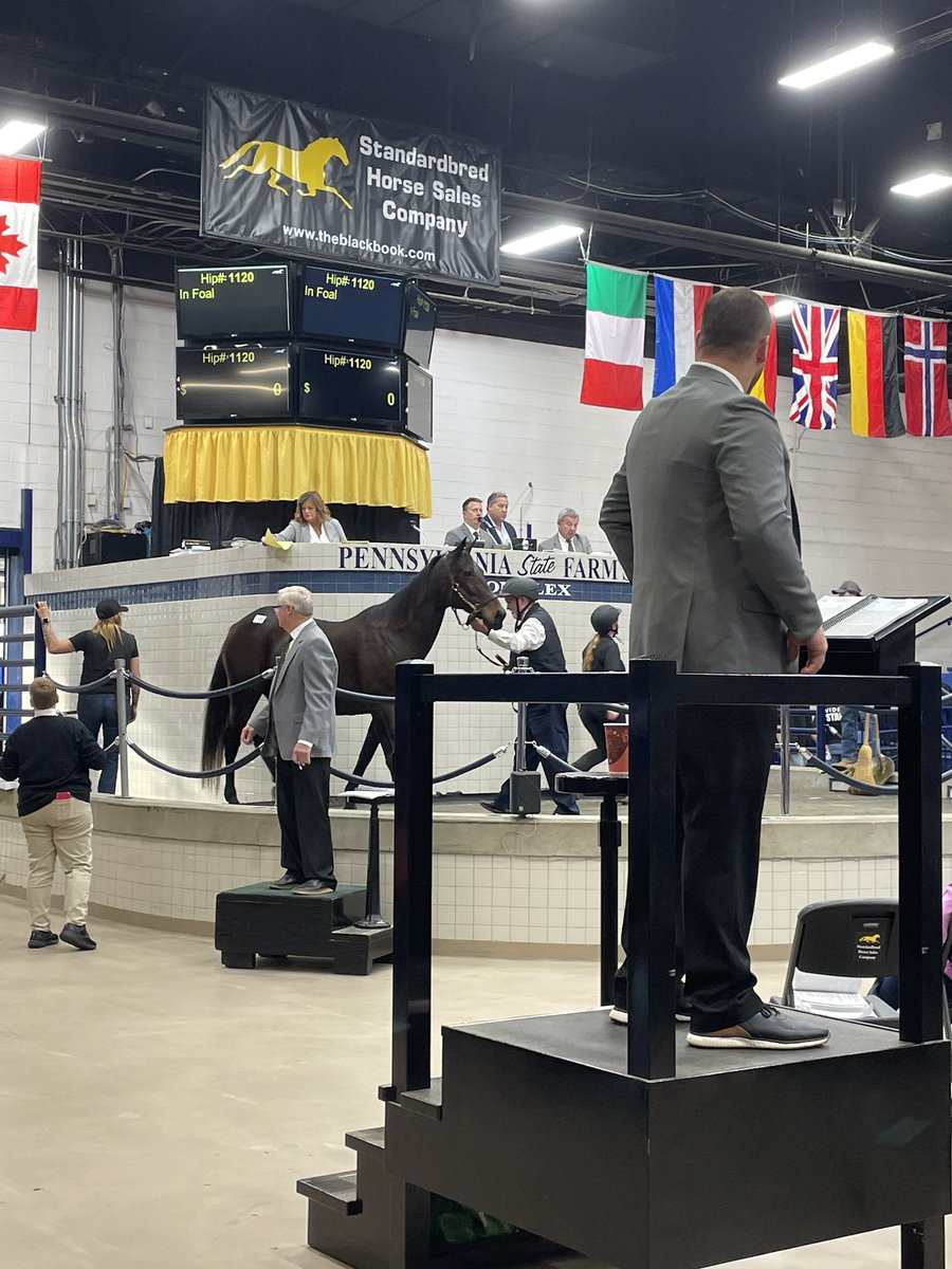 HrnssRcngJess's tweet image. Thursday is my favorite Harrisburg day but I barely got to see the mommas and babies go! 😩 #MaybeOneDay