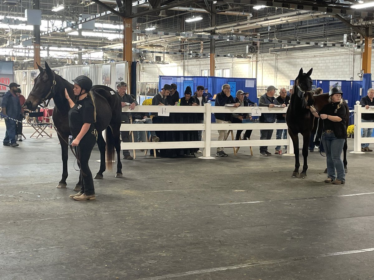 HrnssRcngJess's tweet image. Thursday is my favorite Harrisburg day but I barely got to see the mommas and babies go! 😩 #MaybeOneDay