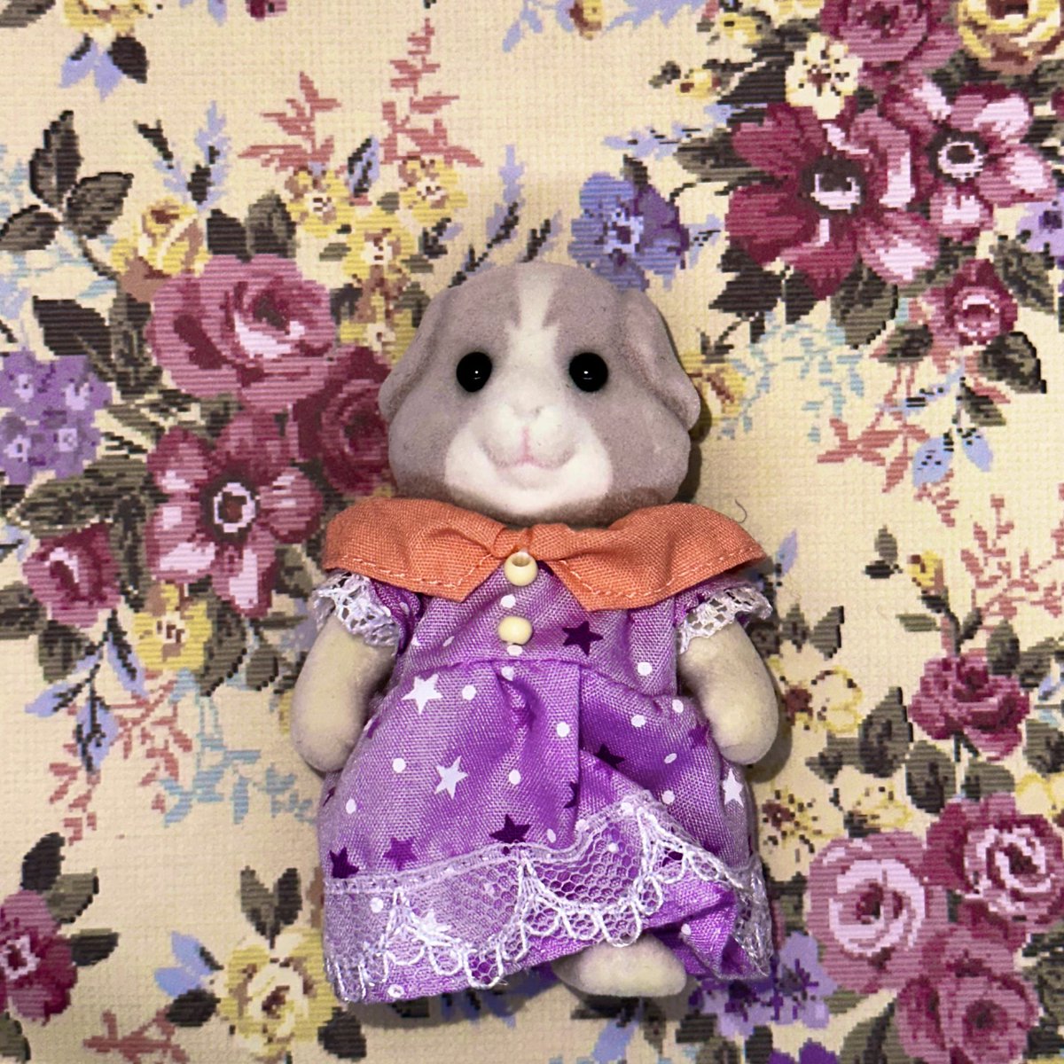 のんちゃん@ザキ⭐︎ユリ大好き🫡 tweet media