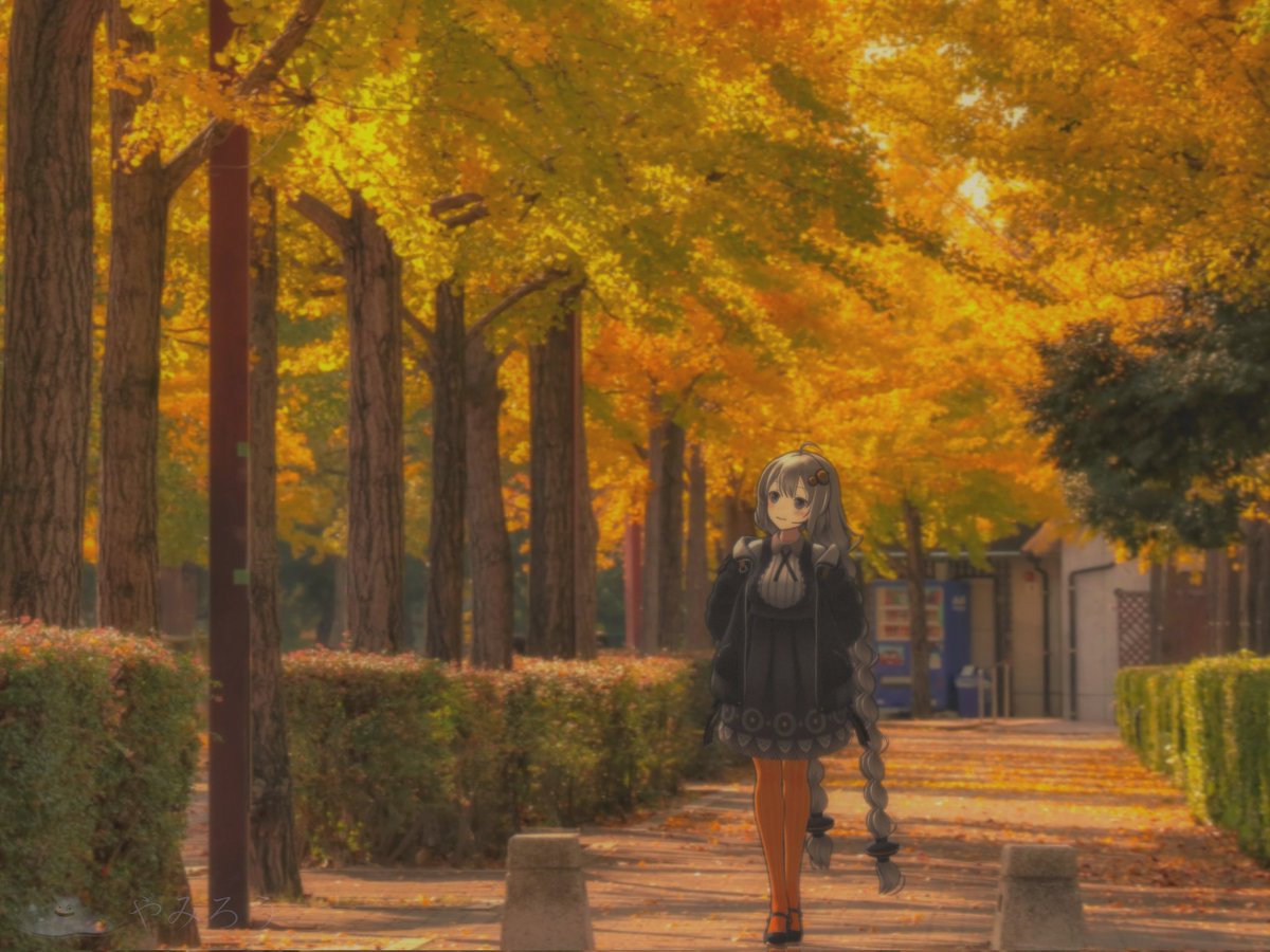 toruduck1's tweet photo. イチョウ並木
#MMD　#紲星あかり https://t.co/BnSzSUqr4n