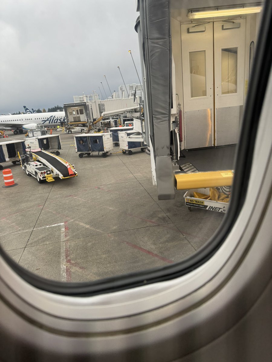 Morgan Mitchell tweet media