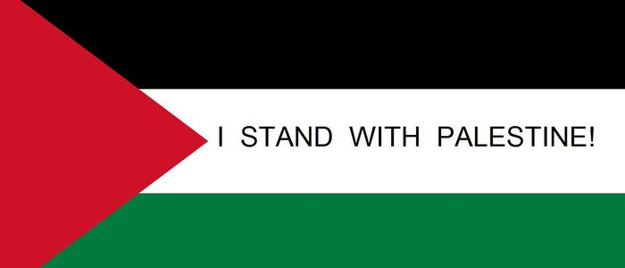 Dr. LilyFayed🇵🇸 tweet media