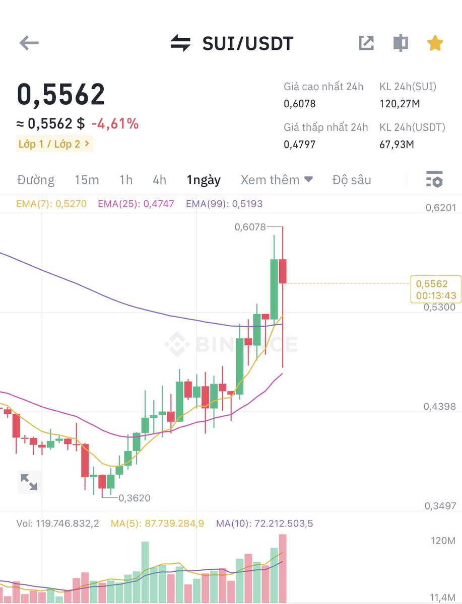 Capy Bara tweet media