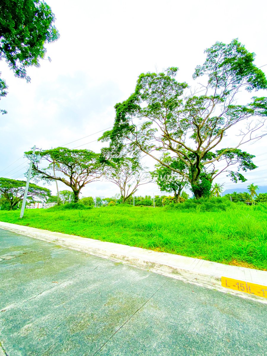 VanAmada2's tweet photo. #MountMalarayat Golf &amp; Country Residential Lot For Sale, 309sqm - Alcove! #Resale #FairwayLot #LotForSale also available! Call: +63-915-200-4978! https://t.co/PDDGr33P7H https://t.co/hPZqNznVgR
