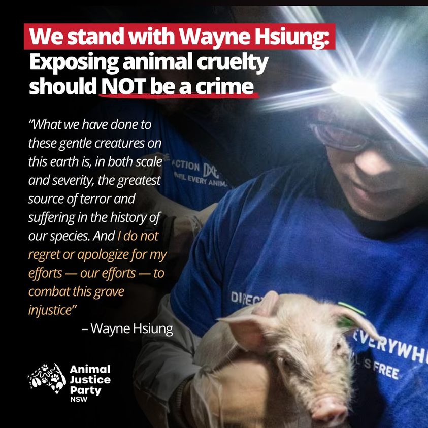 What has gone wrong in this world when a person who is rescuing and exposing the most vile and barbaric cruelty inflicted on animals is set to go to prison and those who perpetrate that cruelty are walking around free. Sign the letter righttorescue.com