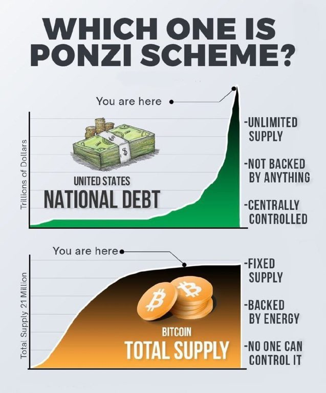 Which one is the ponzi scheme?