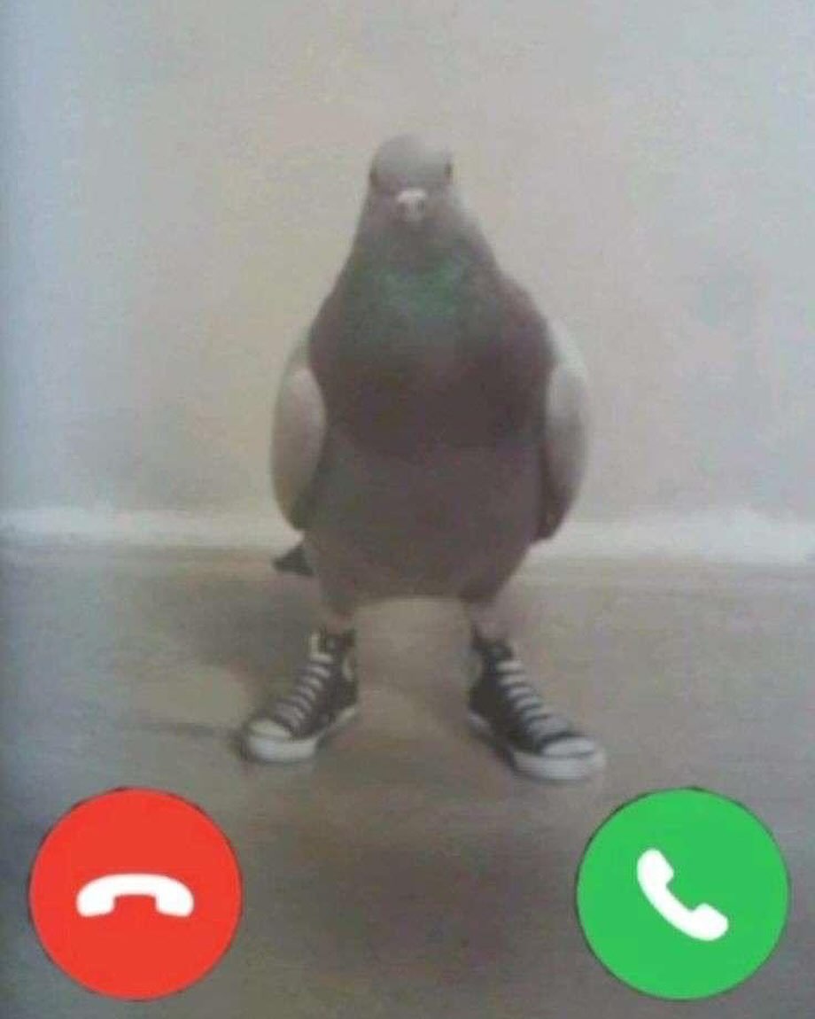 AlbumAura's tweet photo. Answer or decline? https://t.co/NOvAvAqfJC
