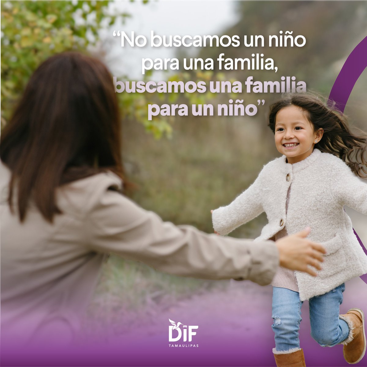 DIF Tamaulipas tweet media