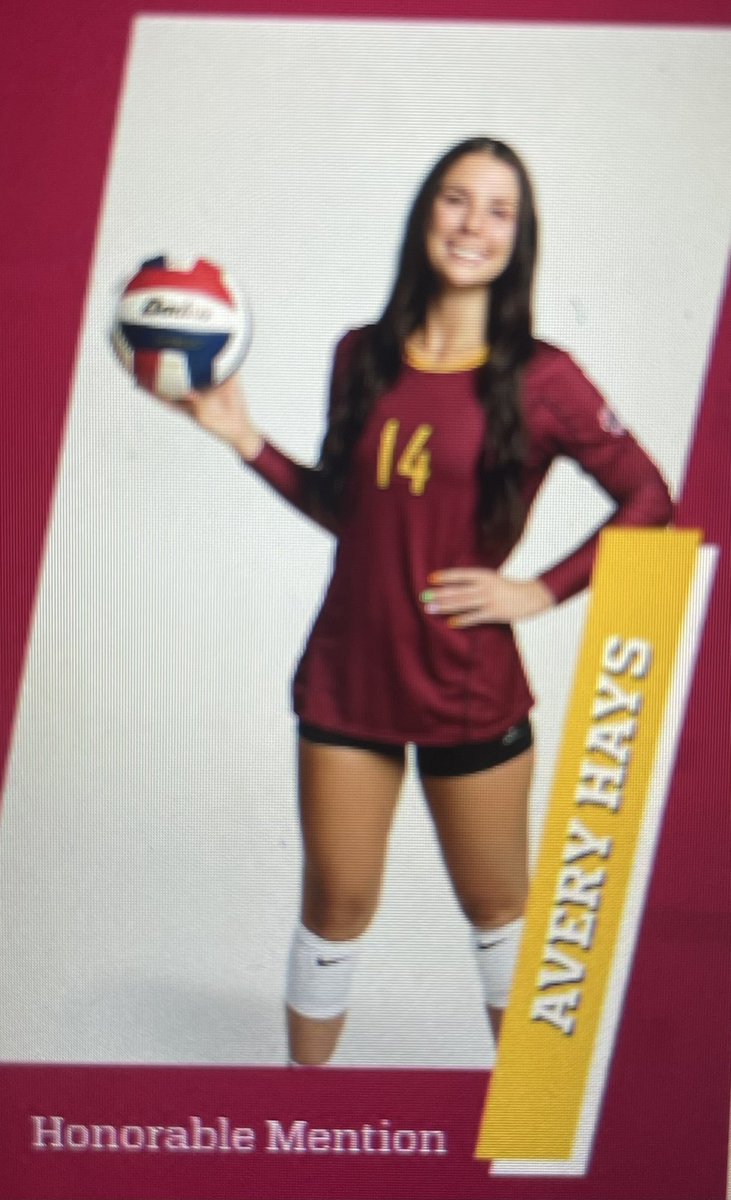 Lebanon Volleyball tweet media