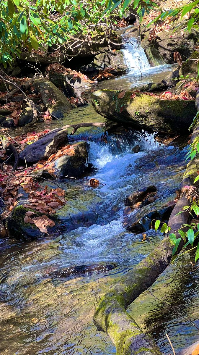stl_silversmith's tweet photo. Can I just stay hereπ
#neverwanttoleave
#wanderer #wandering #blueridgemountains #NaturePhotograhpy https://t.co/nGibCvIkOZ