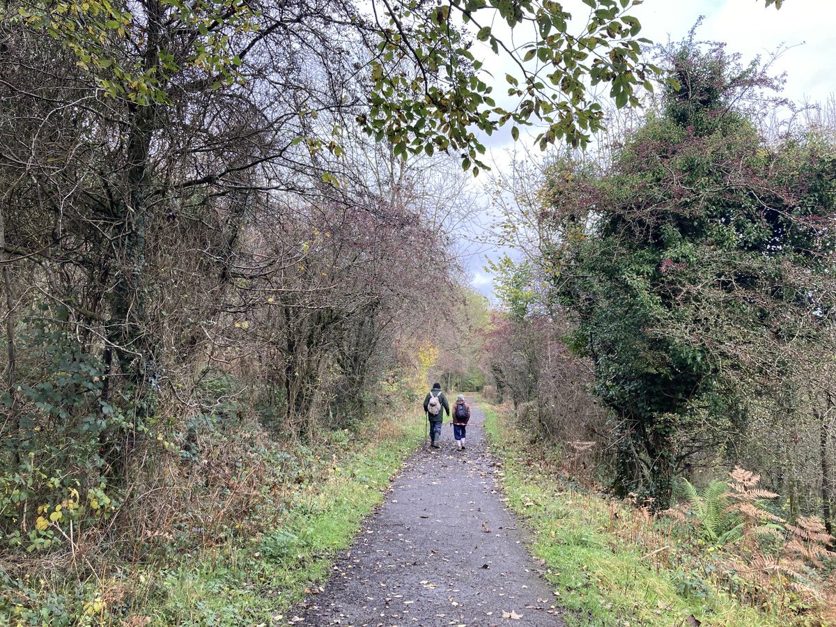 Good night twitter friends 😴leaving you with this photo which just appeals to me. From last week’s wonderful wander along the Thornhill Trail 💚