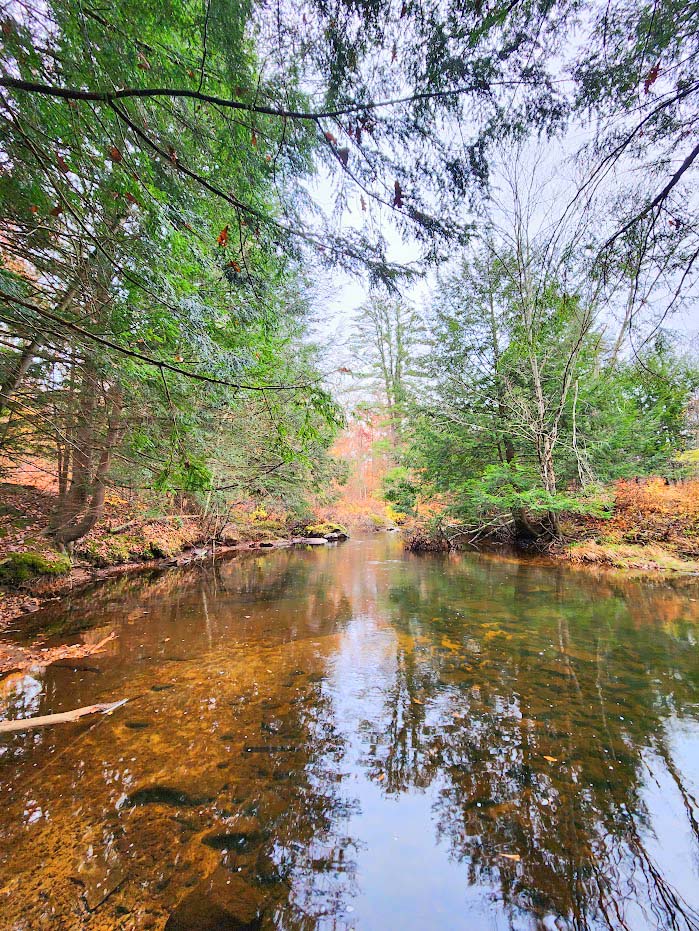 DCNRnews's tweet photo. A serene, late fall view of Nescopeck Creek at #NescopeckStatePark. ๐ #PaStateParks #GetOutdoorsPa #FallInPa https://t.co/nLmq1cQYMw
