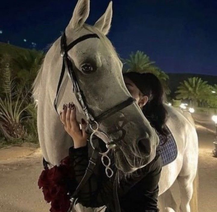 بحر 🌊 (@butterflless) on Twitter photo 