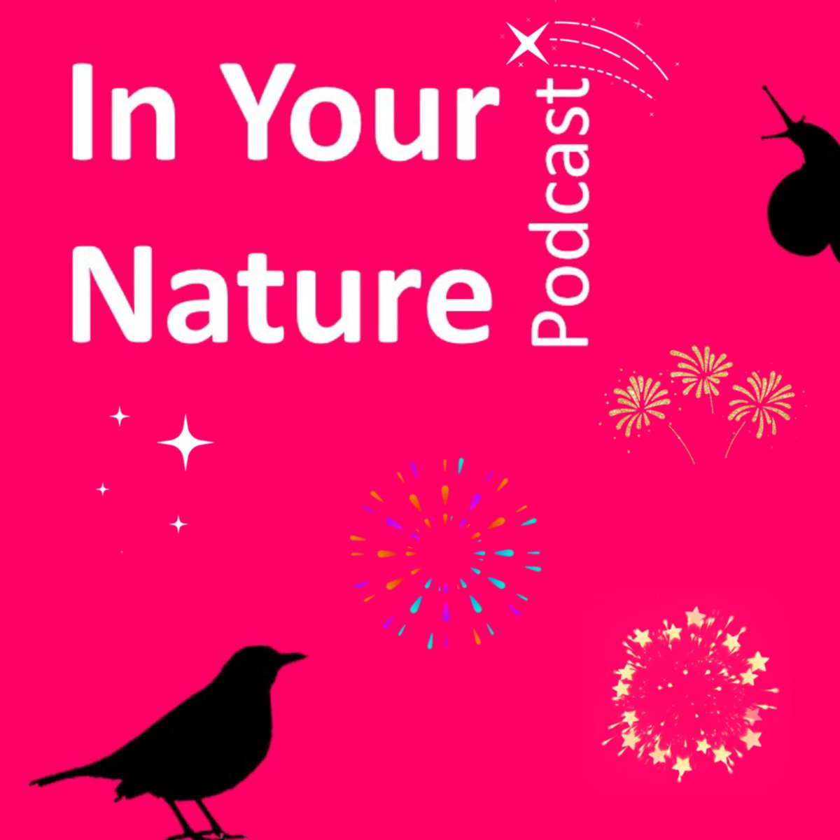 🎉#InYourNature #podcast is back this Monday, 13th November! Episodes include a rematch between Ireland 🇮🇪 &amp; New Zealand 🇳🇿, this time battling it out to settle which country boasts the best 🐦🐦‍⬛! Listen  inyournature.buzzsprout.com or wherever you get your podcasts.