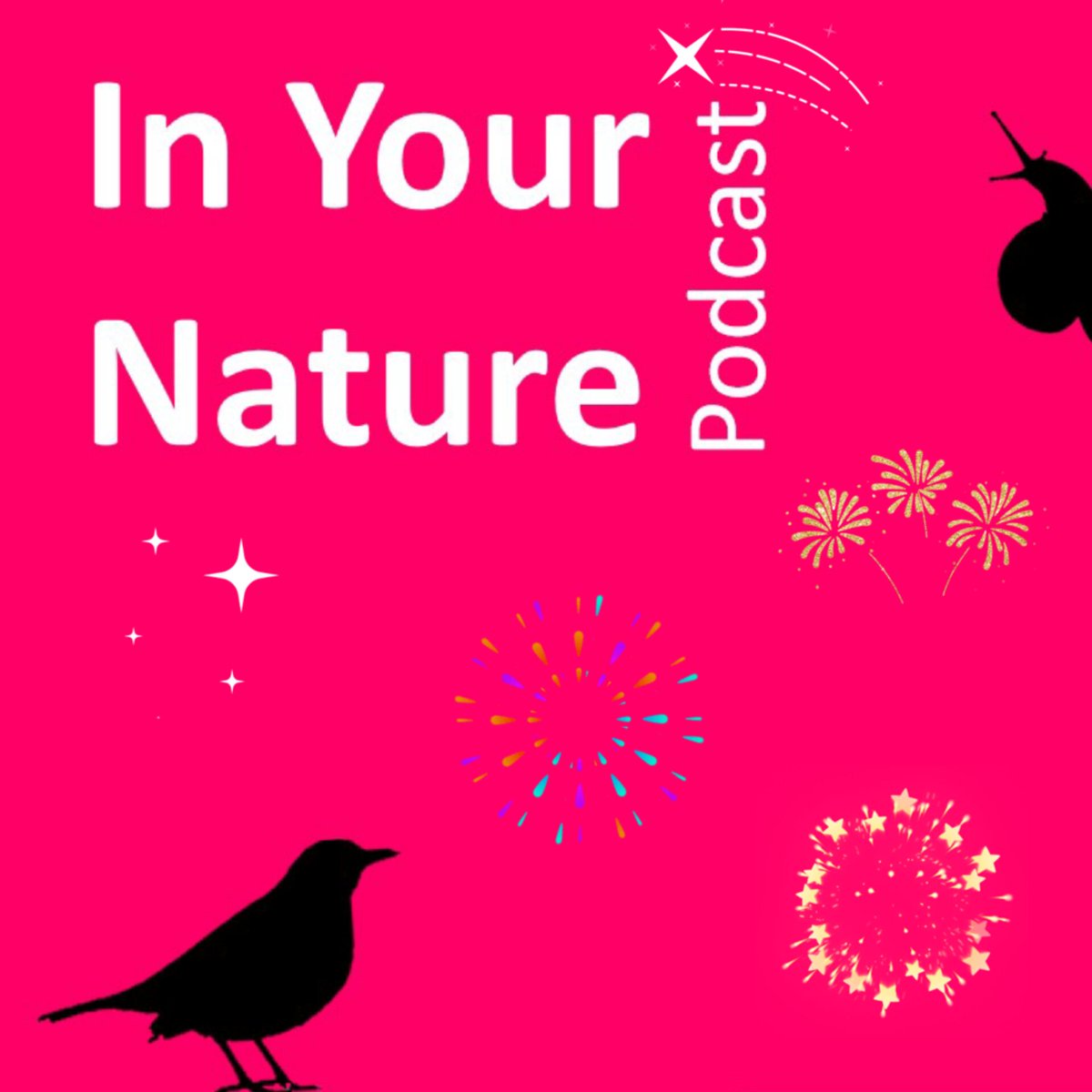 🎉#InYourNature #podcast is back this Monday, 13th November! Episodes include a rematch between Ireland 🇮🇪 & New Zealand 🇳🇿, this time battling it out to settle which country boasts the best 🐦🐦‍⬛! Listen inyournature.buzzsprout.com or wherever you get your podcasts.