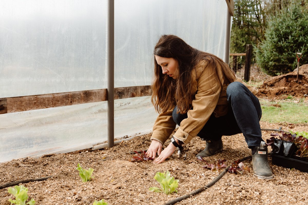 traditionskills's tweet image. After taking our Garden Season Extension class, with Melissa K Norris, YOU will have the time tested methods and knowledge to garden through the colder months.

You can learn more about Melissa and her class here: schooloftraditionalskills.com/classes/garden…
#gardenseasonextension #coldframes