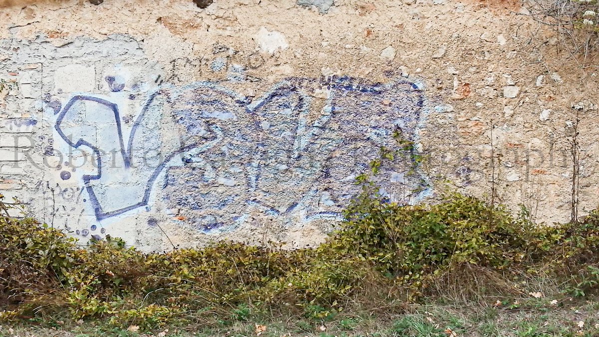 rocaphotography's tweet photo. Murales a San Pio delle Camere.
Abruzzo , Italy.
#sanpiodellecamere #PrataDAnsidonia #Tussio #peltuinum  #abruzzo #laquila #Italia #italy #photooftheday #picoftheday #photography #murales #graffiti #streetart #urbanphotography #urbanart #art #robertocastigliaphotography https://t.co/SWEXFiacO9