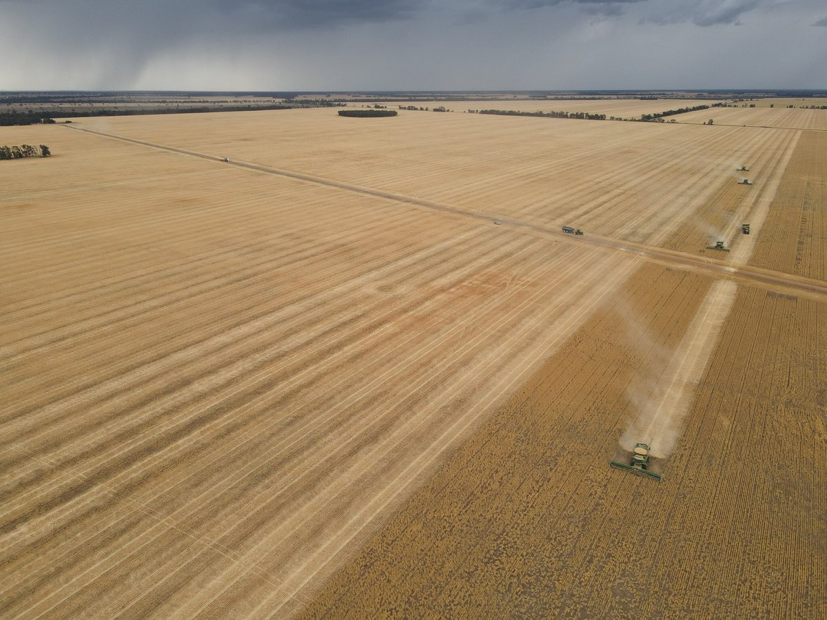 Dave_Newbigging tweet media