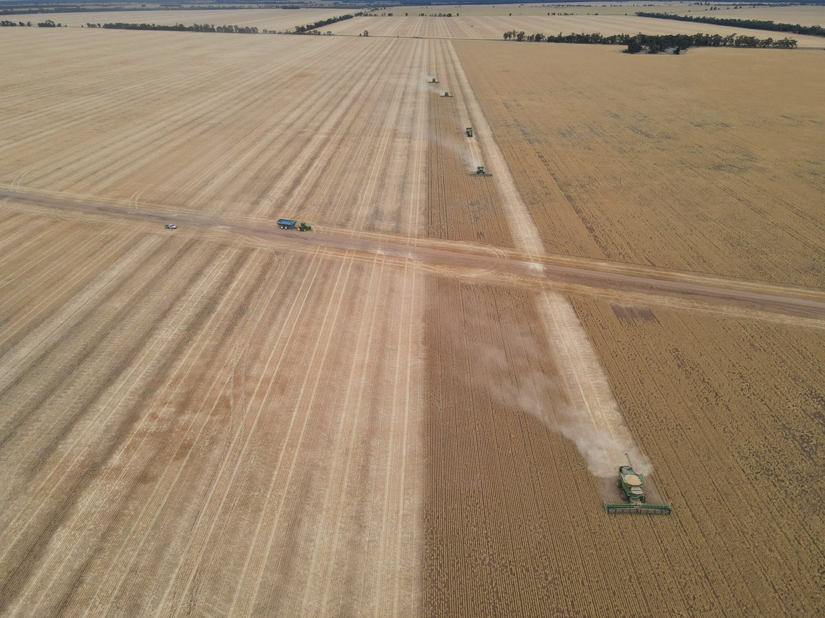 Dave_Newbigging tweet media