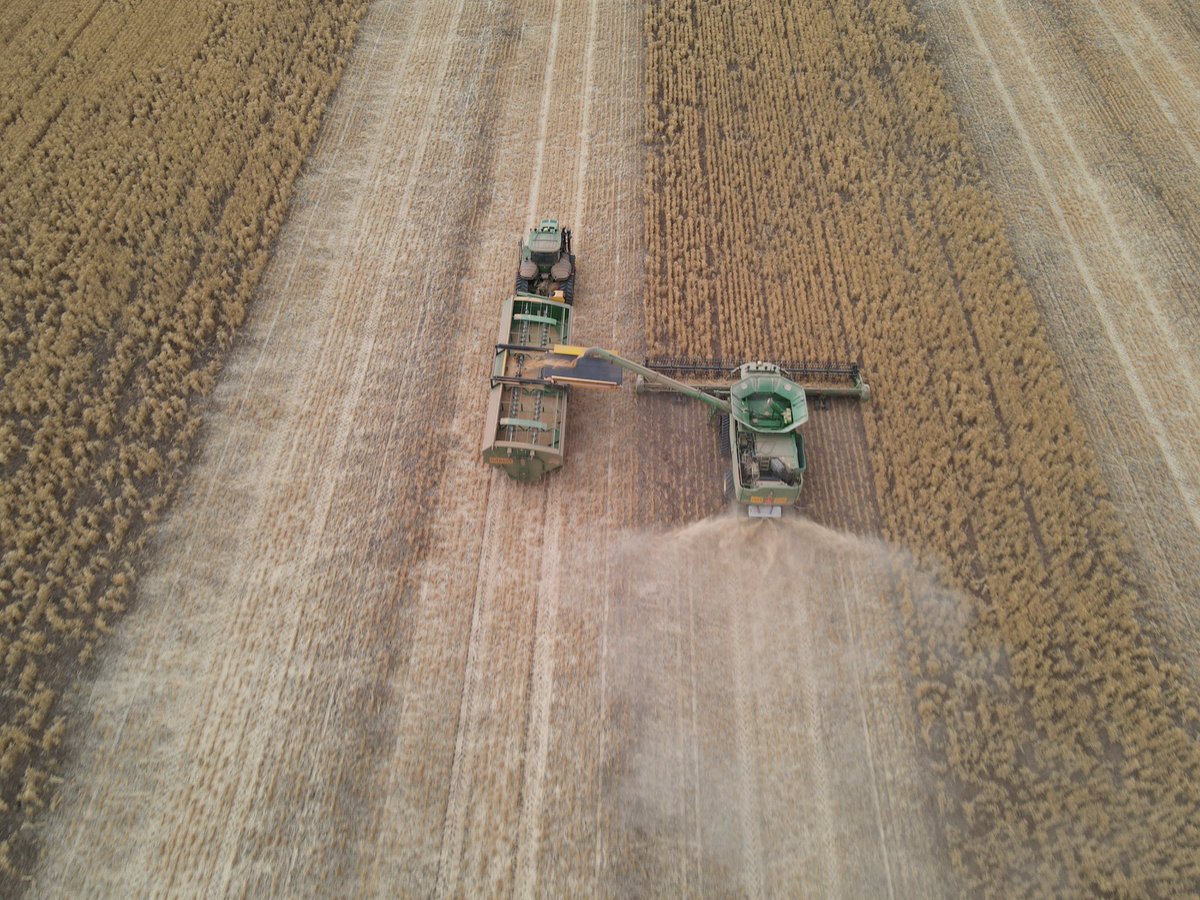 Dave_Newbigging tweet media