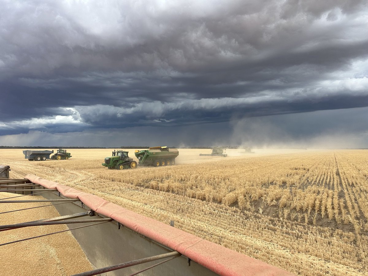 Dave_Newbigging tweet media