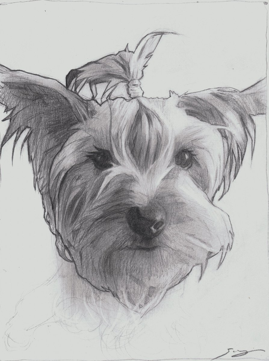 sergiart5_'s tweet photo. + I work with graphite too! https://t.co/euC5l8VeZn