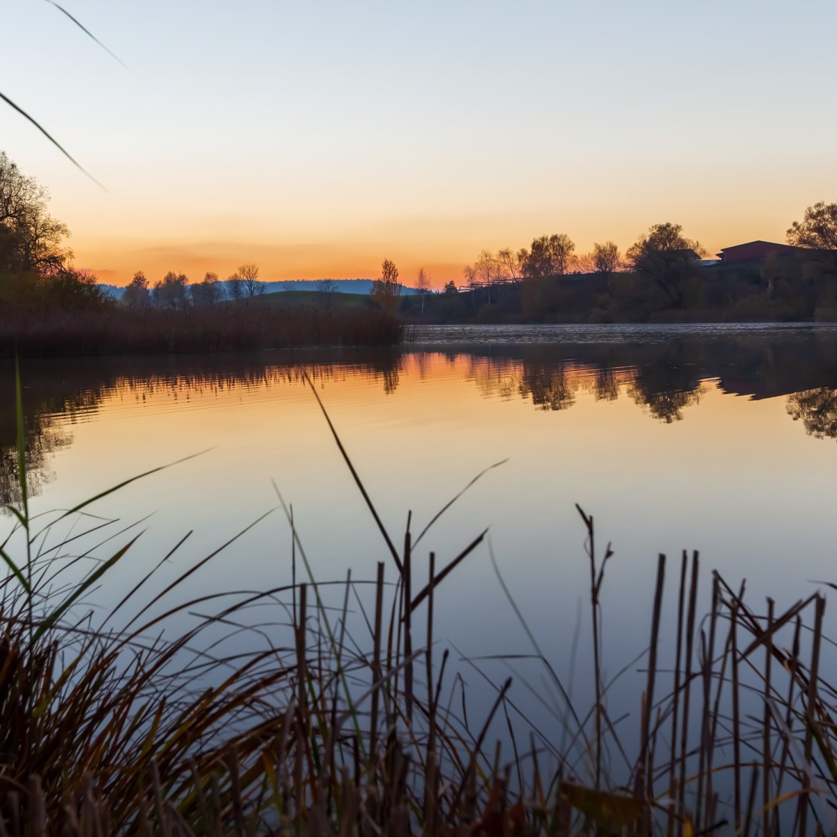 Good Night #XRP Fam

Sunset at a little Pond in Switzerland🇨🇭
#sunsetclub #goodnight #MondayMood