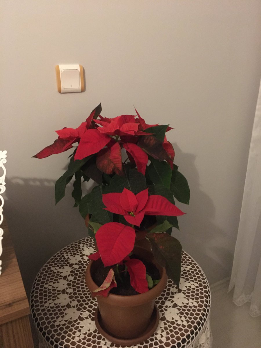 IŞIĞIN HEP PARILDIYOR KALBİMiZDESİN RUHUN ŞAD OLSUN