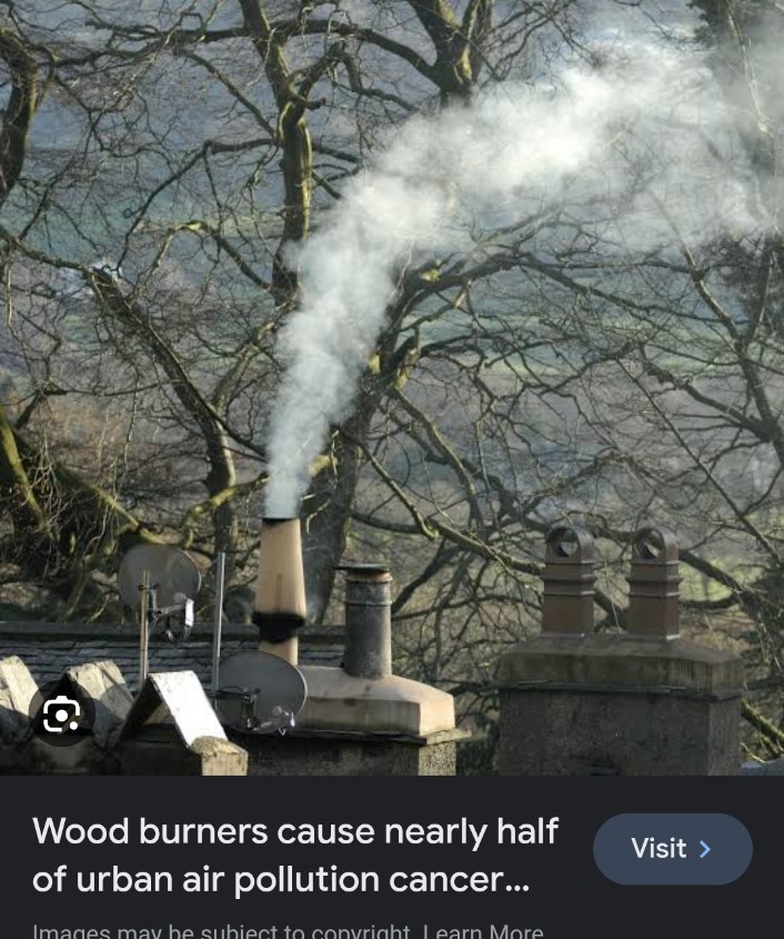 @aajtak @ritvick_ab @ShashiTushar No one talking about
20Ton on wood burnt in open
For pyres funerals
Per day
Per city
#LungCancer #Asthma #Bronchitis #TB
#Premature #deaths

@CMOMaharashtra
@mieknathshinde @Dev_Fadnavis @CSIR_IND @moefcc @DelhiAQI @NcrPollution @DPCC_pollution @CleanAirDelhi @ClimateMumbai