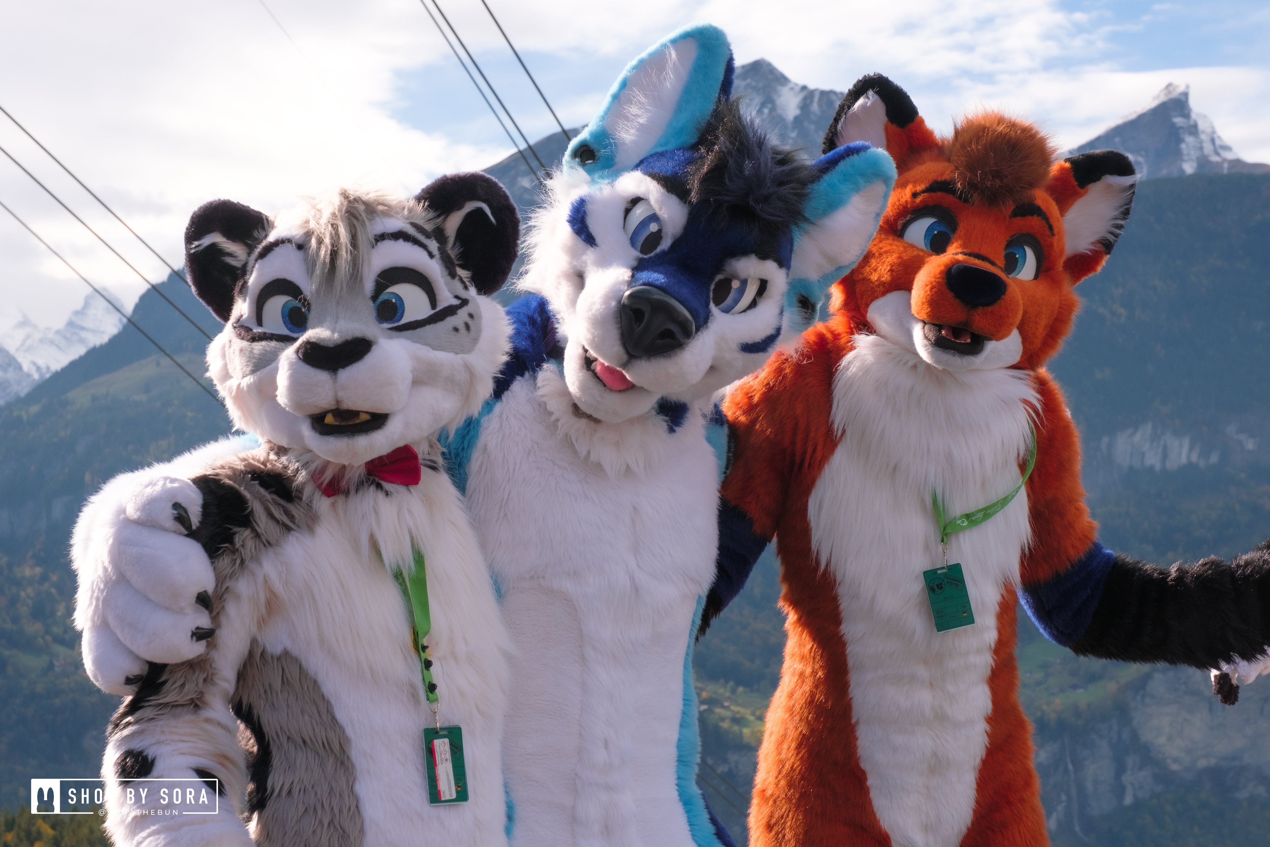 Welcome to Furtrack! Fursuit photo sharing, tagging & discovery
