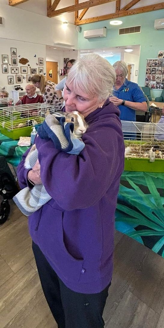 veronica_dormer's tweet photo. A wonderful afternoon with #animalman  just 5mins of spending time cuddling these cuties is shown to reduce stress, we sure are smitten ❤️ @ErskineCharity and hopefully Janet, our volunteer remembered to give the rabbit back 😂 @dtbarron @Jackoline01 @lel13560 @nsepayne https://t.co/hJAzHuEQDv