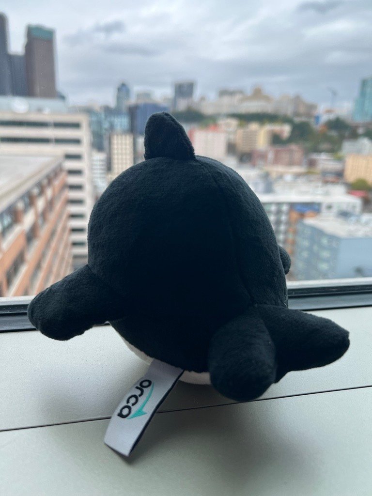 TheORCACard's tweet photo. Coming soon... 👀 https://t.co/Ki3hHOf5d9