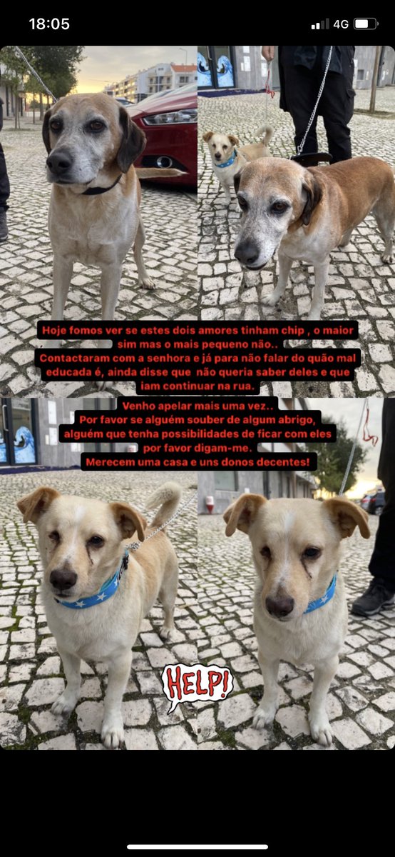Por favor partilhem 🙏🏻❤️