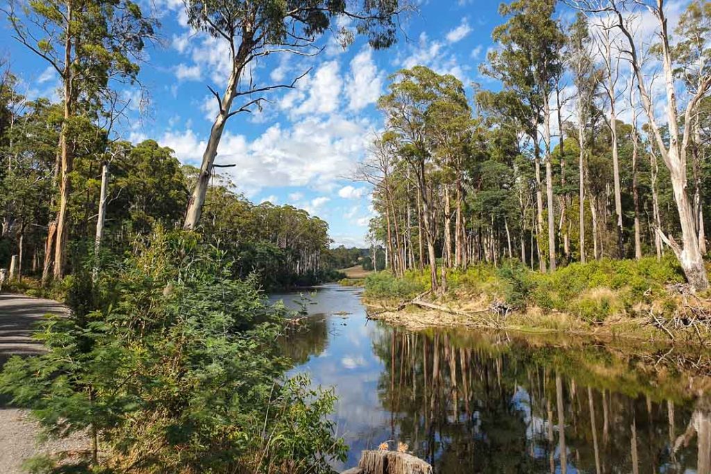 I think I'll give my campaign maybe 1 more year.

If I haven't seen a serious groundswell for fundamental change away from population/economic expansionism toward a more steady/stable state, it'll be too late.

So I'll just go sit somewhere &amp; watch the world reap what it has sewn