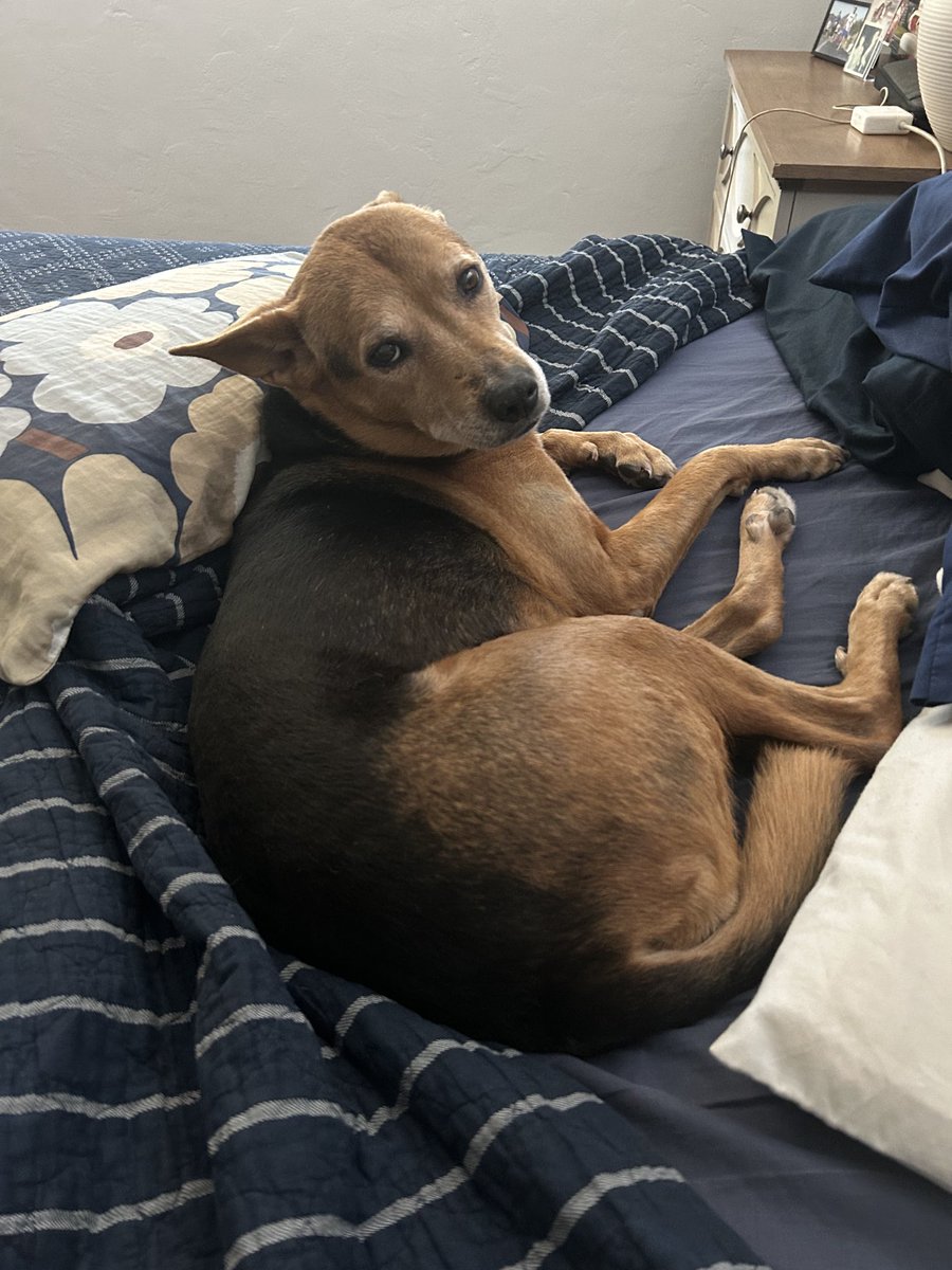 Rodd McLeod tweet media