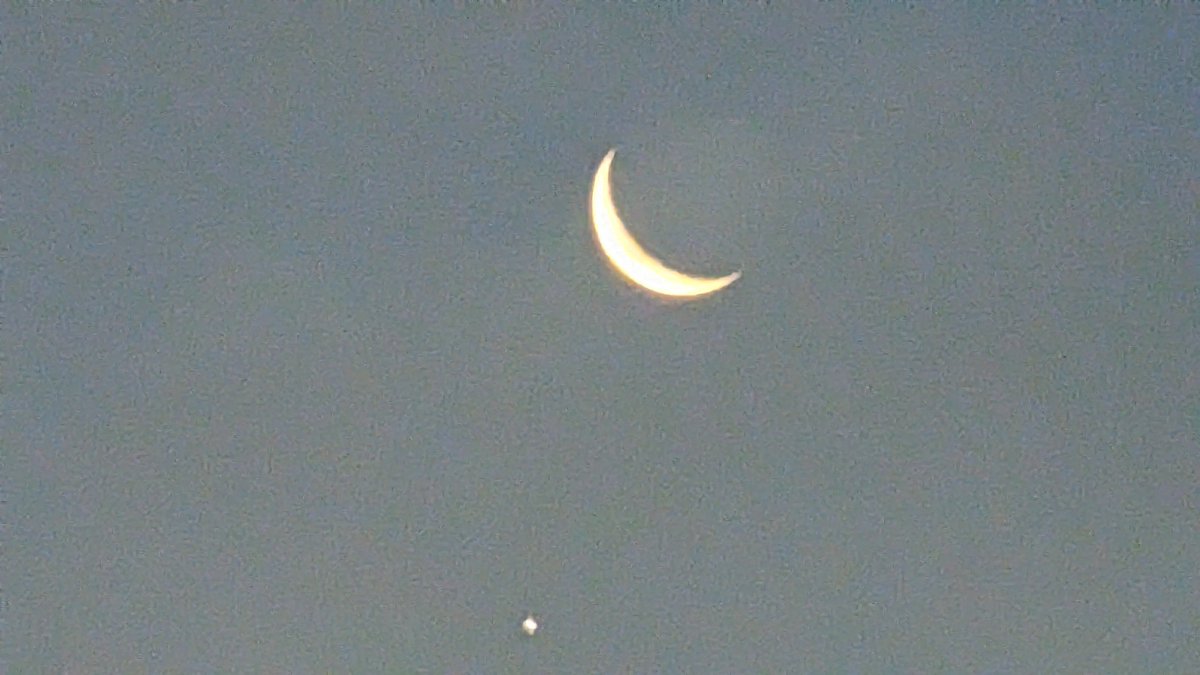 ian_bill67's tweet photo. This mornings waning crescent moon in conjunction with Venus over Leighton Buzzard #waningcrescent #moon #venusocculation #StormHour #ThePhotoHour #moonhour #lunar #lunartic @DavidBflower @astro_timpeake @UK_Astro https://t.co/ZhasZWiPzR