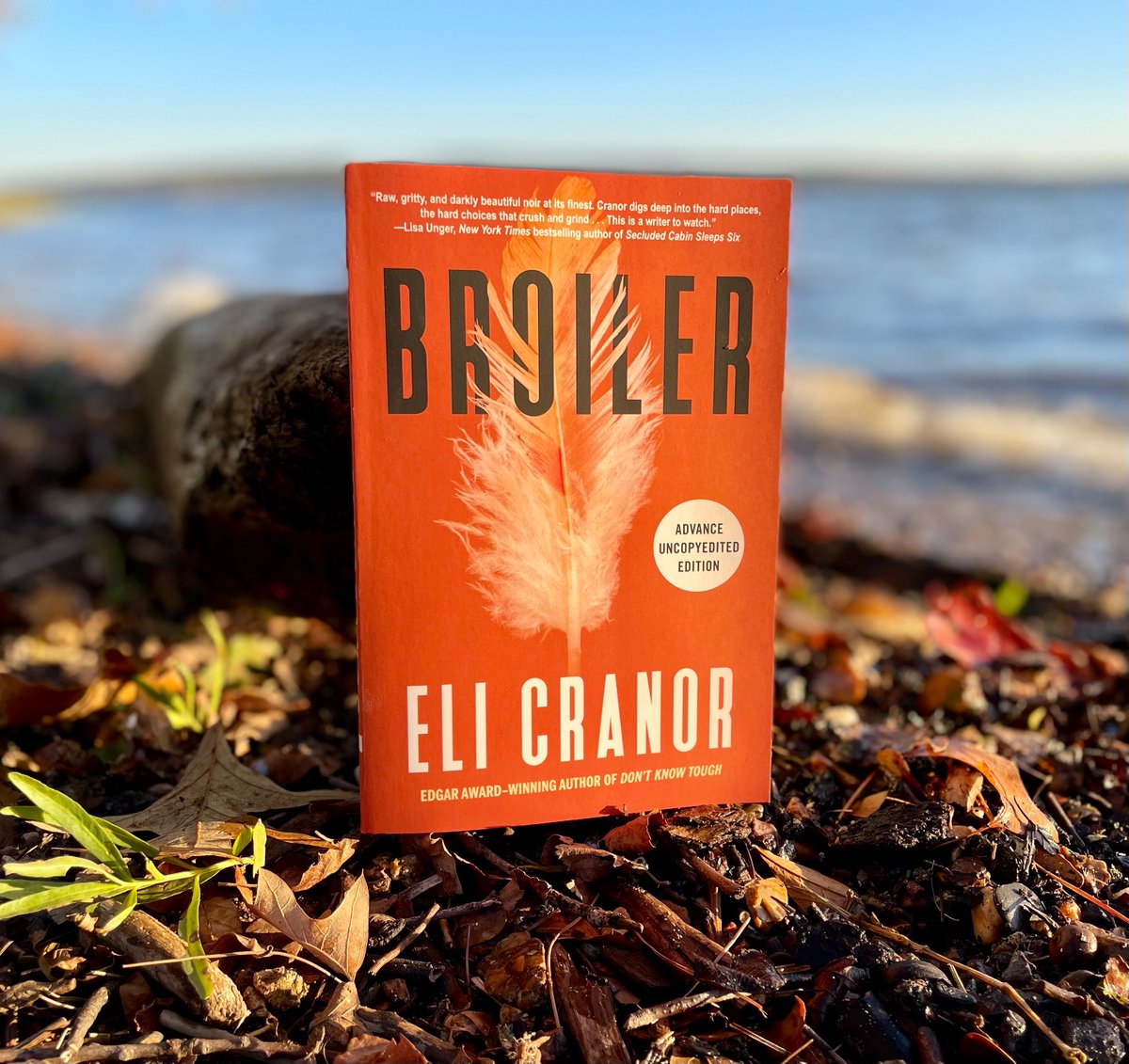BROILER galleys landed at the lake🐣 The troubles of two desperate families—one white, one Mexican American—converge in the ruthless underworld of an Arkansas chicken processing plant. Preorder here (if u want): penguinrandomhouse.com/books/743692/b…